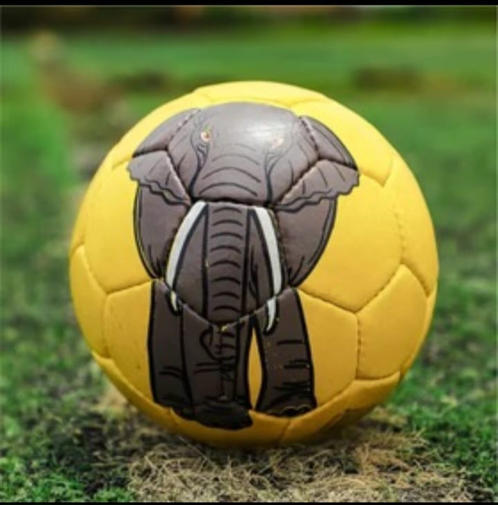 Animal Print Football-Size 3 